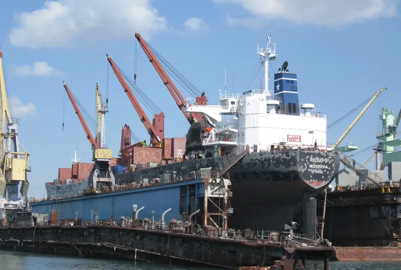 OCEANIC WISDOM Bulk Carrier IMO 9149378