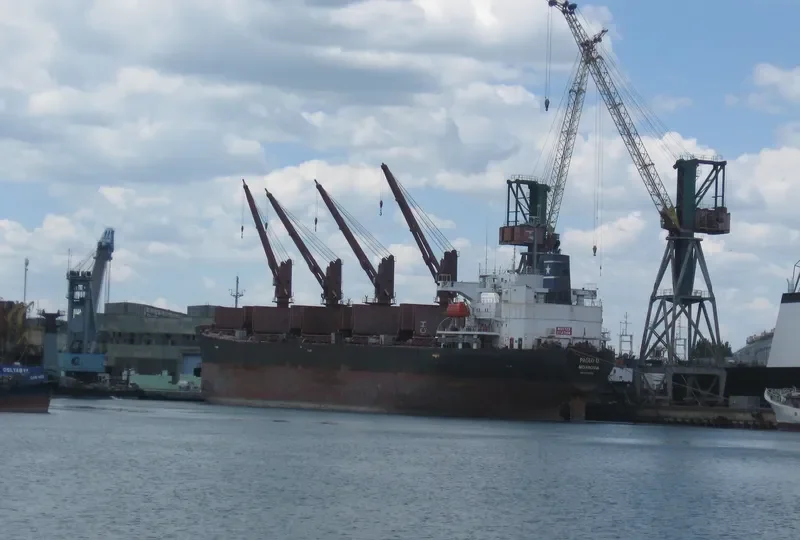 OCEANIC WISDOM Bulk Carrier IMO 9149378 photo 4