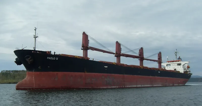 OCEANIC WISDOM Bulk Carrier IMO 9149378 photo 7