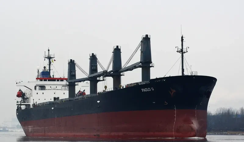 OCEANIC WISDOM Bulk Carrier IMO 9149378 photo 9