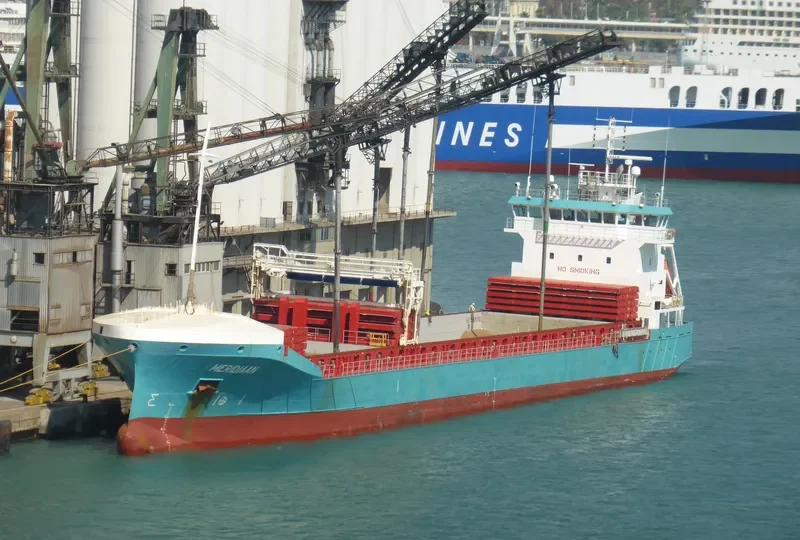 PROSPERITY 101 Bulk Carrier IMO 9149380 photo 10
