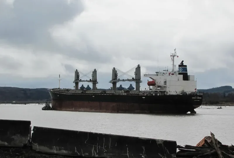 PROSPERITY 103 Bulk Carrier IMO 9149392 photo 9