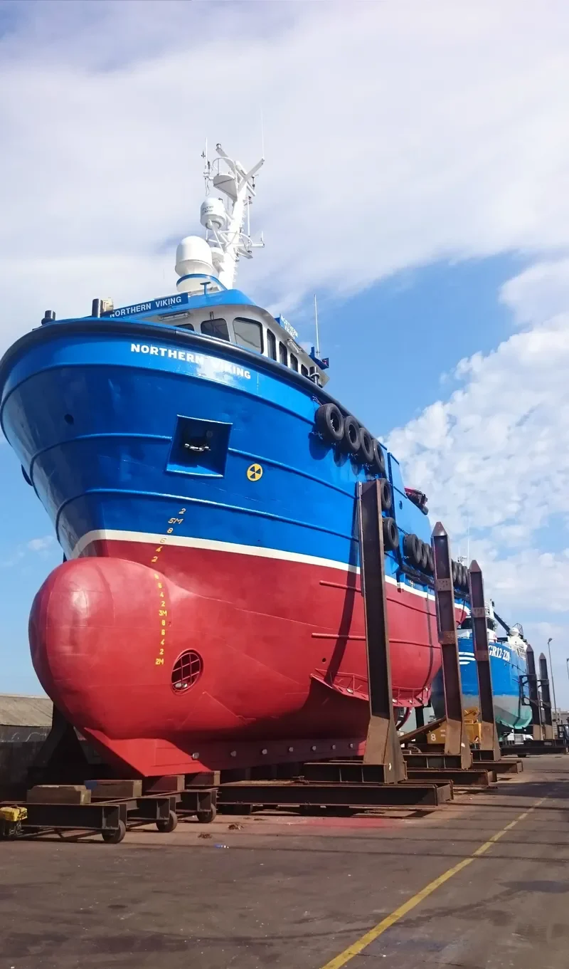 NORTHERN VIKING General Cargo IMO 9149469 photo 2