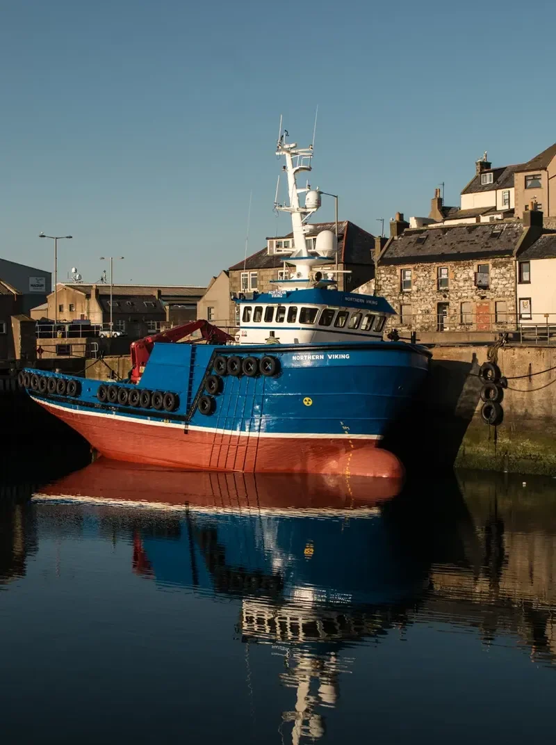 NORTHERN VIKING General Cargo IMO 9149469 photo 3