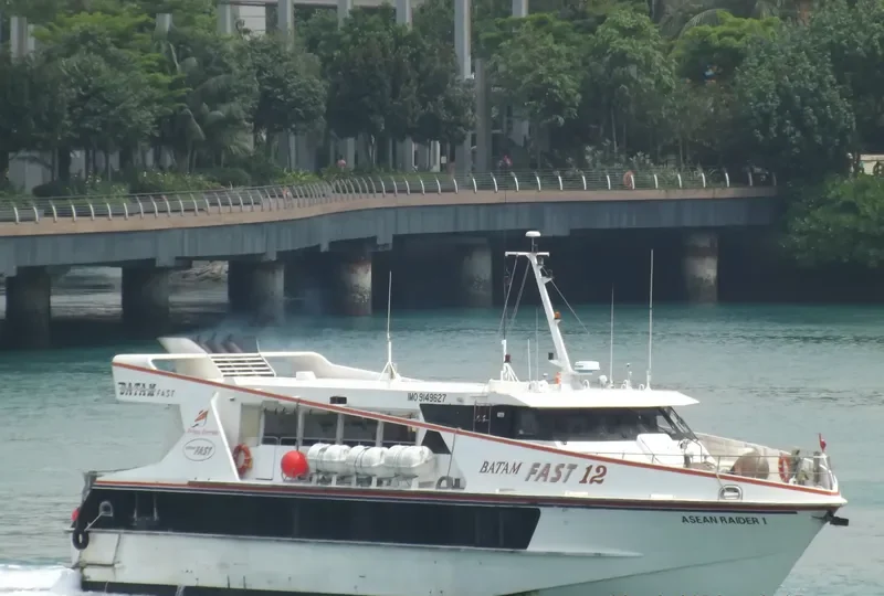 ASEAN RAIDER I Passenger Ship IMO 9149627 photo 2