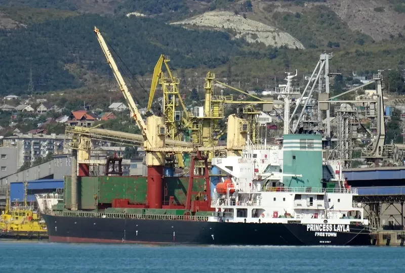 PRINCESS LAYLA Container Ship IMO 9149677