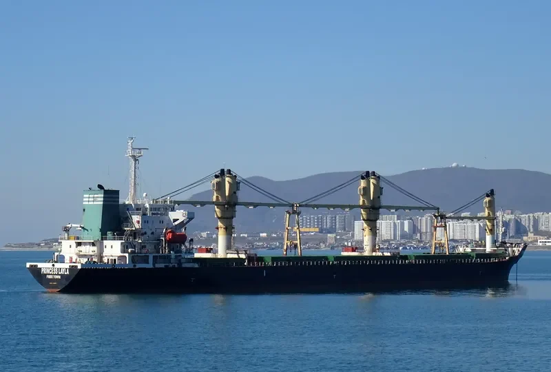 PRINCESS LAYLA Container Ship IMO 9149677 photo 2