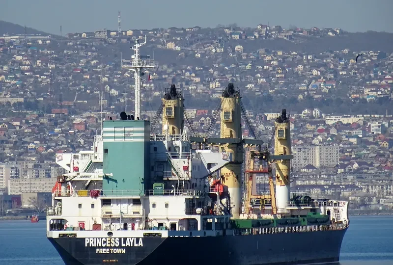 PRINCESS LAYLA Container Ship IMO 9149677 photo 3