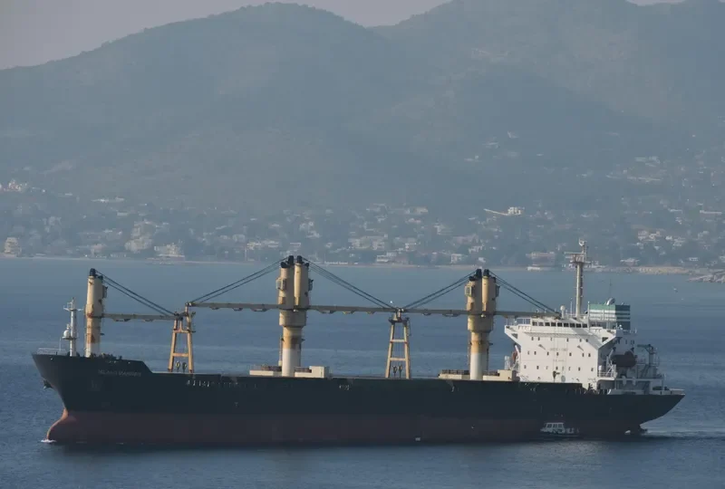 PRINCESS LAYLA Container Ship IMO 9149677 photo 8
