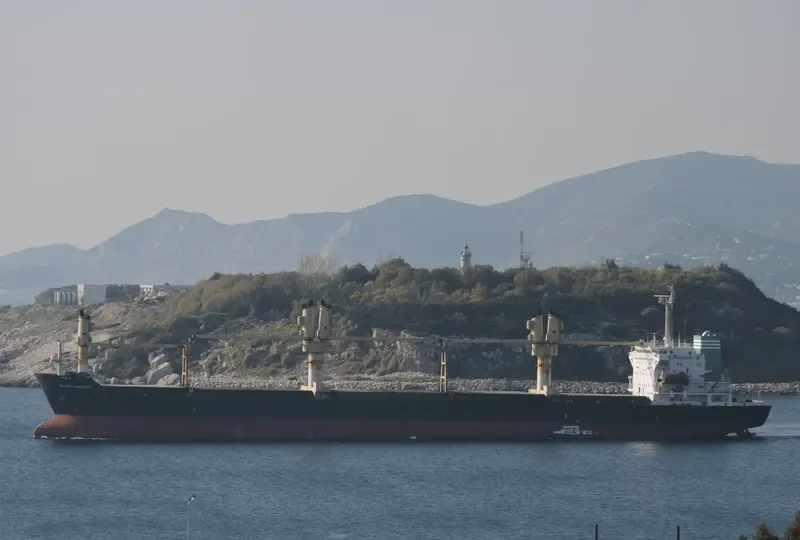 PRINCESS LAYLA Container Ship IMO 9149677 photo 9