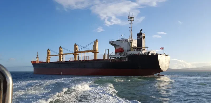 SUZY Bulk Carrier IMO 9149718 photo 2