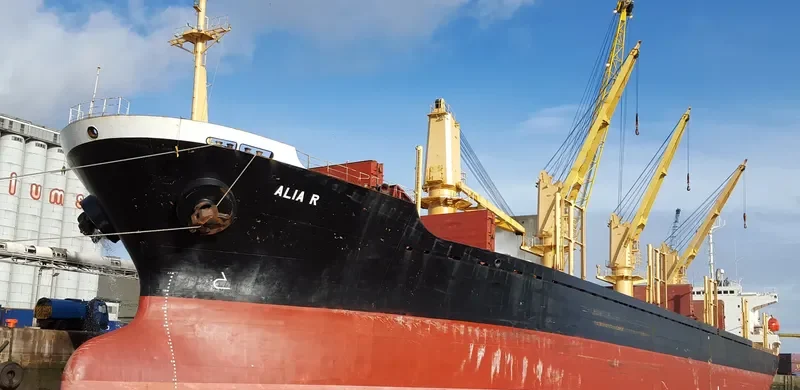 SUZY Bulk Carrier IMO 9149718 photo 4