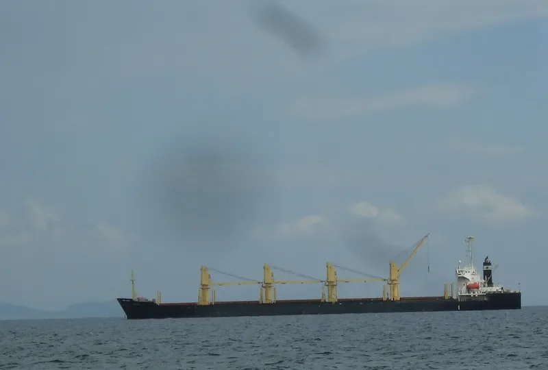 SUZY Bulk Carrier IMO 9149718 photo 9
