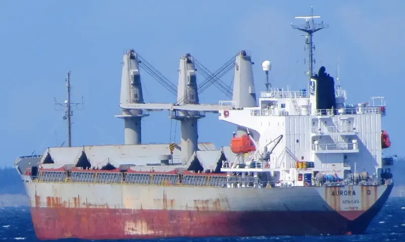 LADY PERLA General Cargo IMO 9149732 photo 5