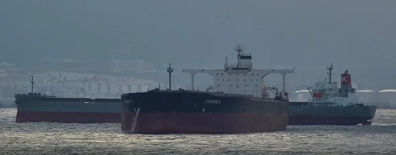 MERCHANT Bulk Carrier IMO 9149794 photo 2