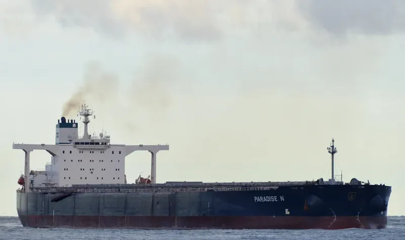 MERCHANT Bulk Carrier IMO 9149794 photo 10