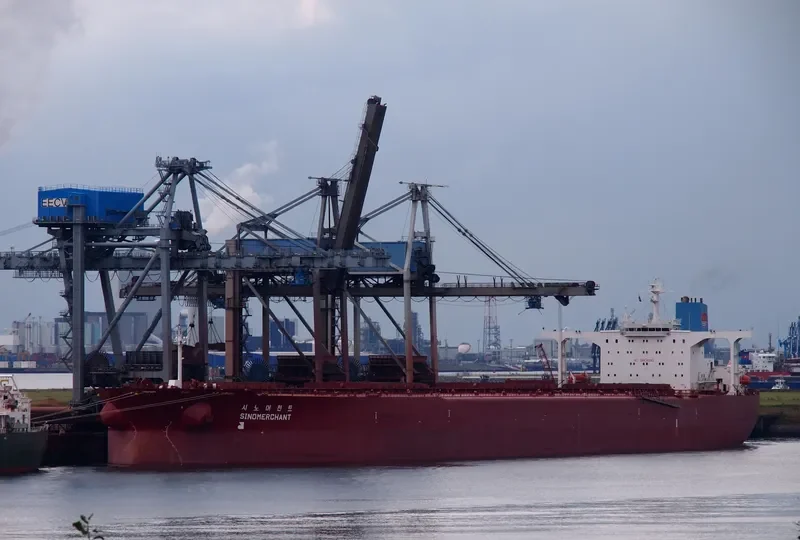 SINOMERCHANT Bulk Carrier IMO 9149809 photo 3