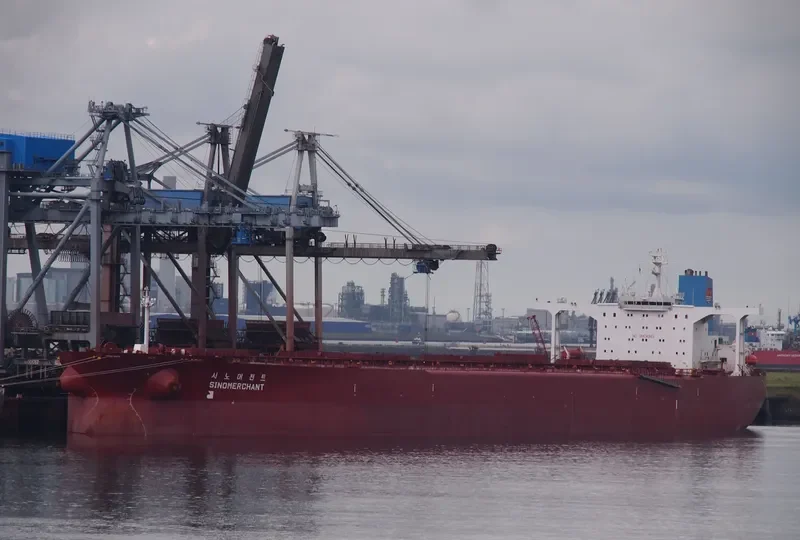 SINOMERCHANT Bulk Carrier IMO 9149809 photo 4