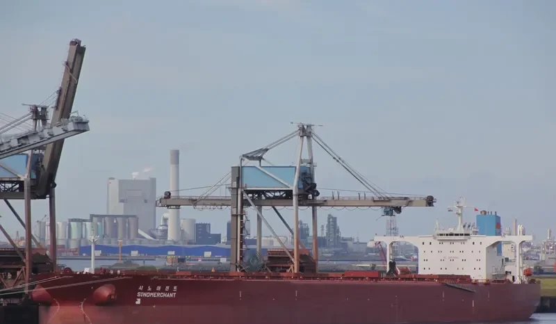 SINOMERCHANT Bulk Carrier IMO 9149809 photo 5