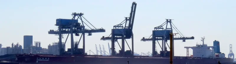 SINOMERCHANT Bulk Carrier IMO 9149809 photo 9