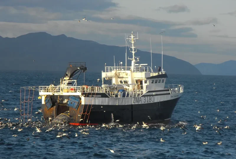 SAN TONGARIRO General Cargo IMO 9149914 photo 5
