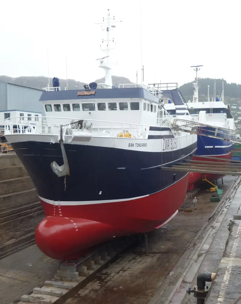 SAN TONGARIRO General Cargo IMO 9149914 photo 6