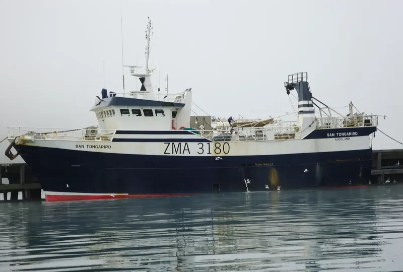 SAN TONGARIRO General Cargo IMO 9149914 photo 10