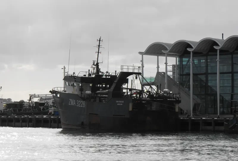 SAN RAKAIA General Cargo IMO 9149926 photo 8