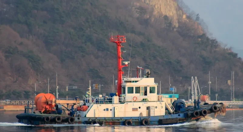DAE YONG NO.308 General Cargo IMO 9149964 photo 9