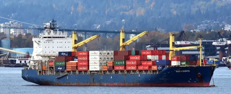 BUXFAVOURITE Container Ship IMO 9150212 photo 2