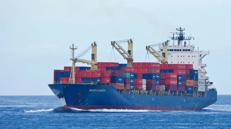 BUXFAVOURITE Container Ship IMO 9150212 photo 7