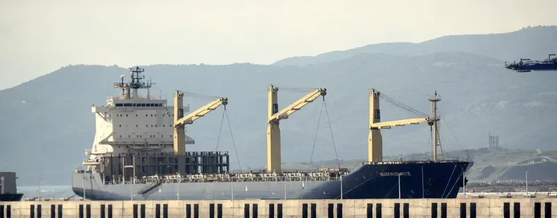 BUXFAVOURITE Container Ship IMO 9150212 photo 10