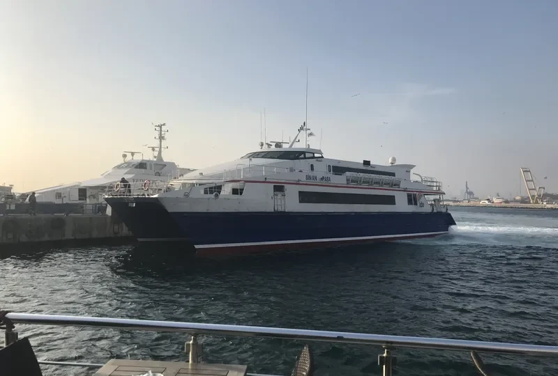 SINAN PASA Passenger Ship IMO 9150262 photo 3