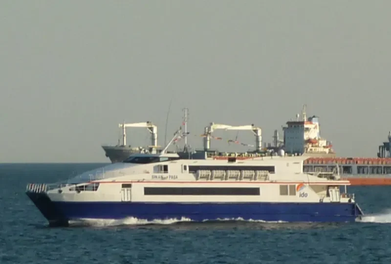 SINAN PASA Passenger Ship IMO 9150262 photo 7