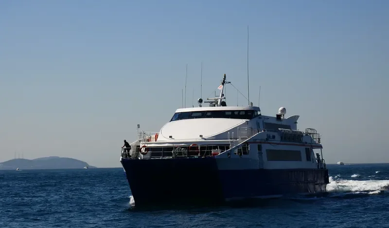 SINAN PASA Passenger Ship IMO 9150262 photo 9