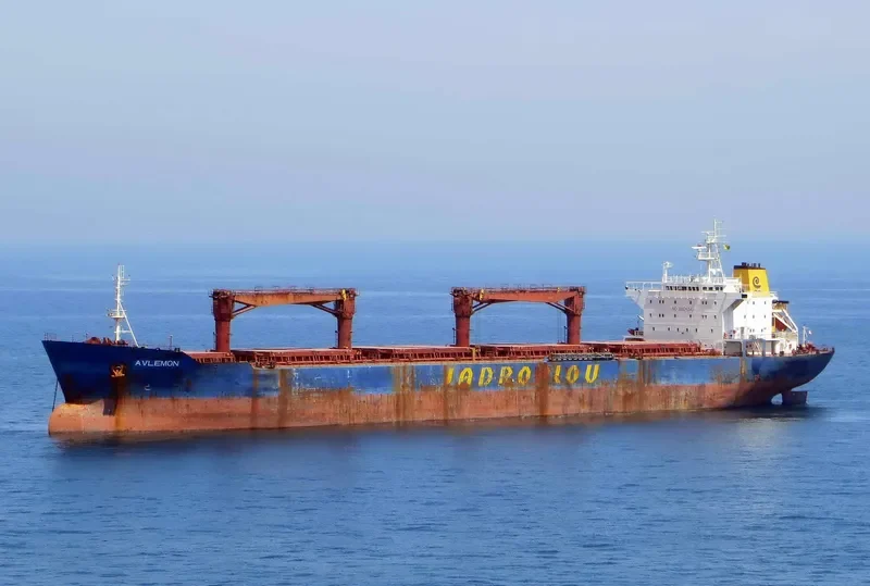 ORIENTAL PHOENIX Bulk Carrier IMO 9150298