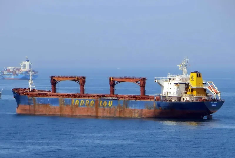 ORIENTAL PHOENIX Bulk Carrier IMO 9150298 photo 2