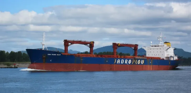 ORIENTAL PHOENIX Bulk Carrier IMO 9150298 photo 3