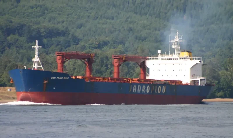 ORIENTAL PHOENIX Bulk Carrier IMO 9150298 photo 4