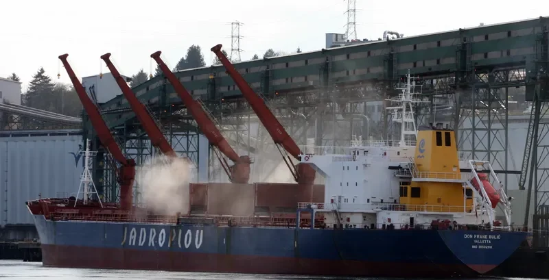 ORIENTAL PHOENIX Bulk Carrier IMO 9150298 photo 5