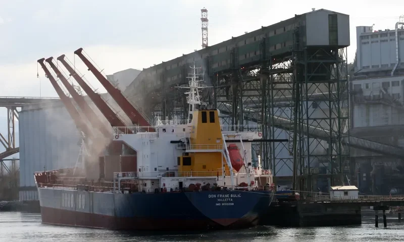 ORIENTAL PHOENIX Bulk Carrier IMO 9150298 photo 6