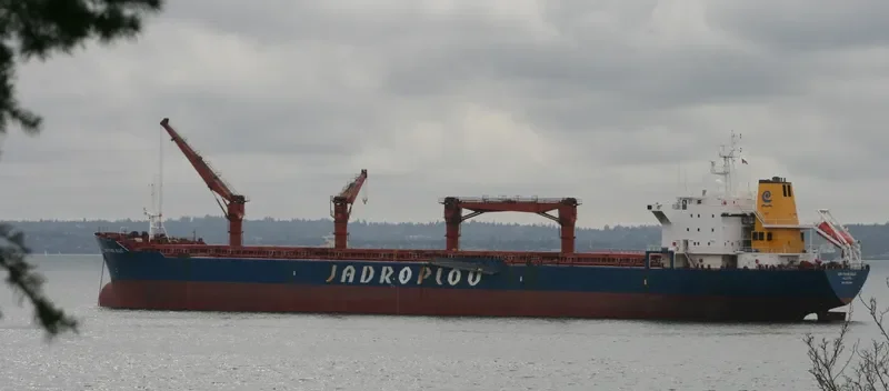 ORIENTAL PHOENIX Bulk Carrier IMO 9150298 photo 7