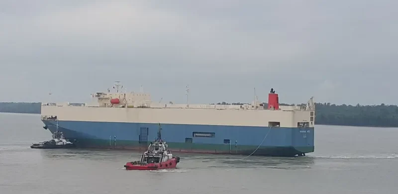 PEGASUS ACE General Cargo IMO 9150341