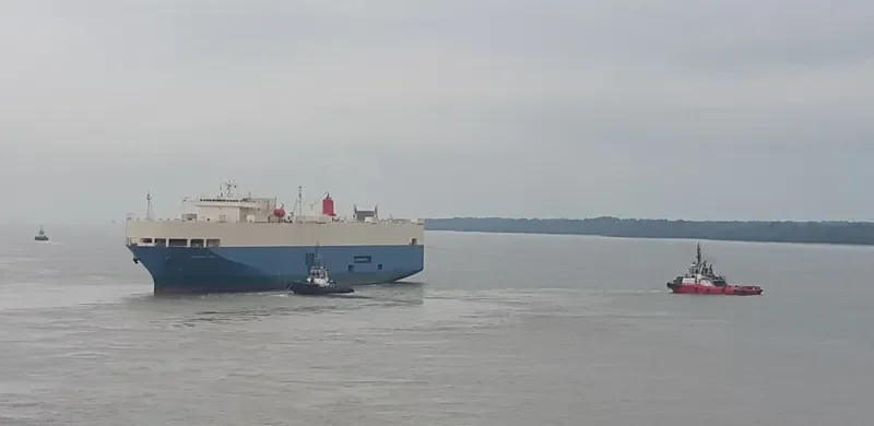 PEGASUS ACE General Cargo IMO 9150341 photo 2