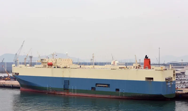PEGASUS ACE General Cargo IMO 9150341 photo 3