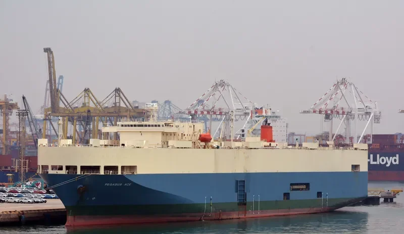 PEGASUS ACE General Cargo IMO 9150341 photo 4