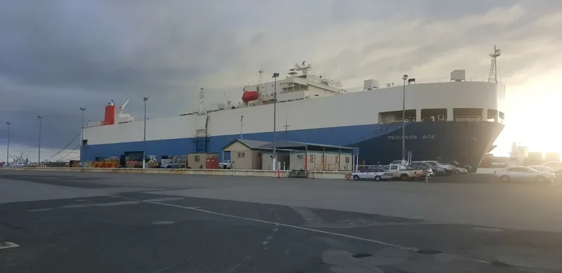 PEGASUS ACE General Cargo IMO 9150341 photo 6