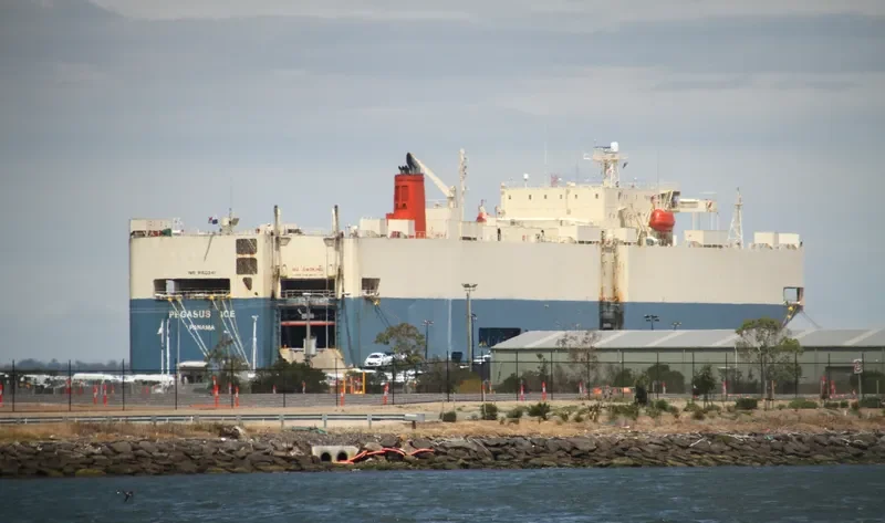 PEGASUS ACE General Cargo IMO 9150341 photo 7