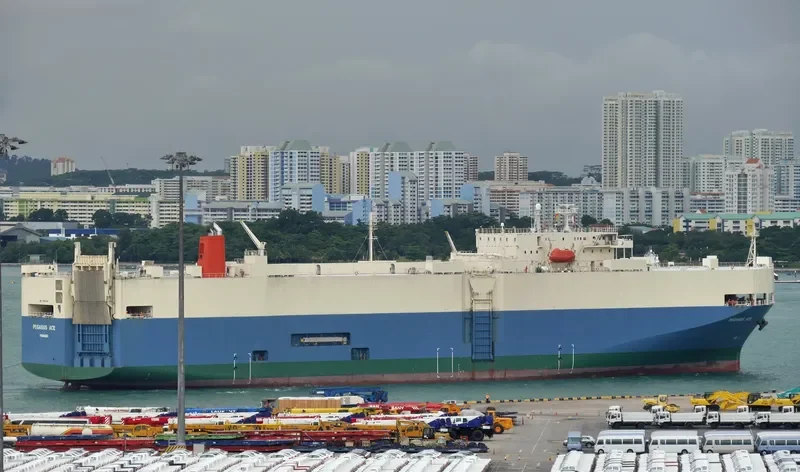 PEGASUS ACE General Cargo IMO 9150341 photo 8