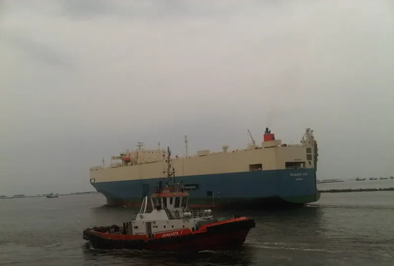 PEGASUS ACE General Cargo IMO 9150341 photo 10